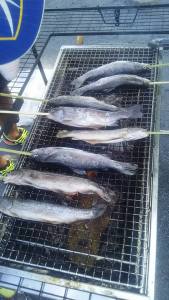 21432825_884894974995096_1965285453844841292_n