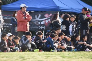 29314880_978168198997889_2074317720471470080_o