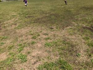 176835563_1731153653735497_7484887042184384848_n