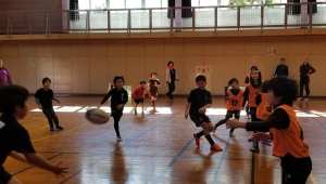 86714535_1527700404047880_3025289420438765568_n