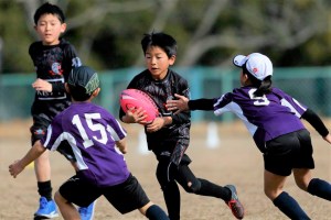 54730796_1551704024960651_1705951148726288384_n