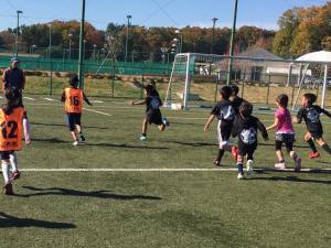 23795673_856949497808369_1603970595452655591_n