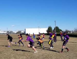 127227745_1783492085135376_7550826816785483396_n