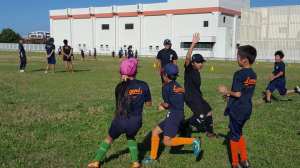 43242507_1125719367593404_6732334173891067904_n