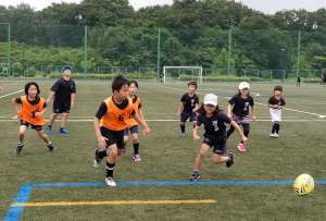 65770878_1325528397598416_5038078362845708288_n