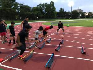 108004518_1488348664682665_3040935183151631193_n