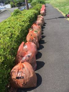 117820019_1524785531038978_6226675790775250826_o