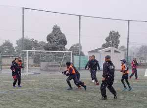 82583918_1502113049939949_8206213598070964224_n