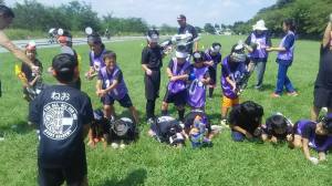 21462774_884885888329338_4092892067050034842_n