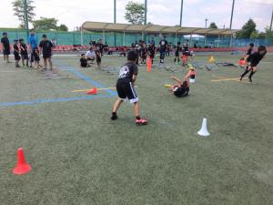 34384021_966590033497197_6819510422178103296_n