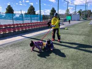 50985894_1166650320157833_1934446045983408128_n