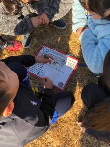 51283467_1171098056379726_7552501674196074496_n