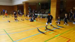 19554288_847552032062724_3297045667825735569_n