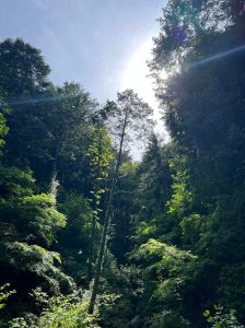 444903422_3395736627236363_8101309879376439856_n