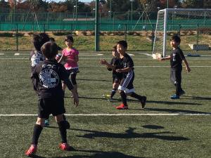 23795255_856949521141700_1942774087257421739_n