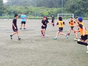 65147323_1319373591547230_6863194822308528128_n