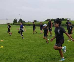 69910473_1368054346679154_7949904574209327104_n