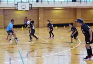 35652667_1038471532970772_8008896637214654464_n