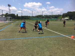 34512479_966589353497265_4581600098936422400_n