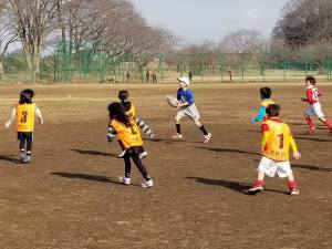 29101257_975261249291801_4924689018618118144_n