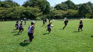 21430123_884866548331272_5315552937357609204_n