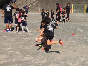 23032904_849890175167184_2132912388094385347_n