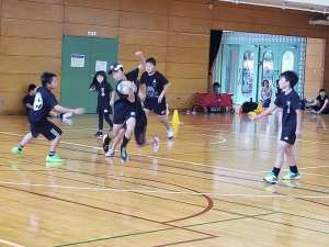 33132523_953157718187546_3840321441232846848_n