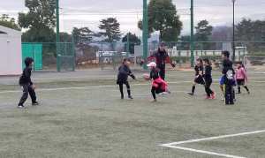 83002371_1508997015918219_561920295141638144_n