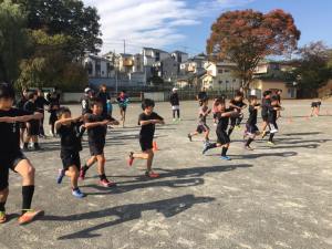 23130506_849891695167032_5363925545215849387_n