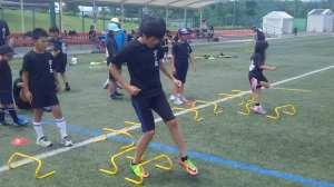 18835684_831629026988358_8079559066073986543_n