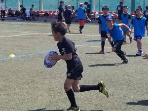 31081676_1000660306751895_3534591942388088832_n