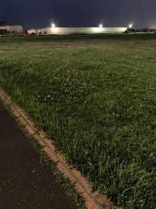 183991534_461317468193071_5865583425497425295_n