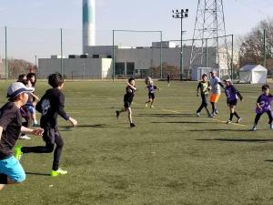 25348583_869128479923804_1548383758542515917_n