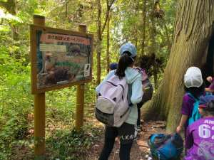 444780857_3377245615753166_454855695516997631_n