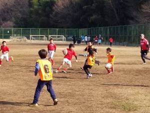 29026130_975261279291798_4519283104178765824_n