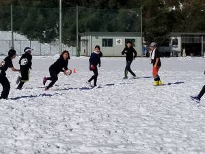 26991768_951771608307432_2434750758041835188_n