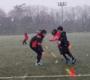 82447079_1502112376606683_880185871515516928_n