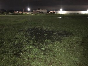 284154954_1049407502672710_7080450447983008785_n