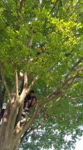 21558662_860899667408710_6969039604631126733_n