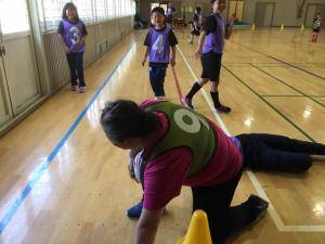 18119563_753948501428019_2359270899407153480_n