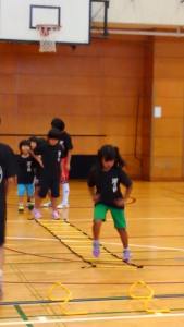 13879348_849417871855940_3897856831728421719_n