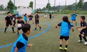 35971249_1042888162529109_7456581357825687552_n