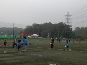 44822757_1163703287113306_332692483190292480_n