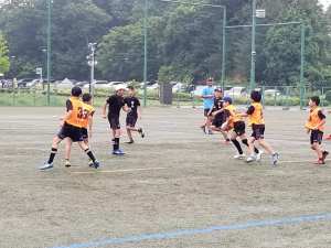 65680837_1319373534880569_3562175506558222336_n