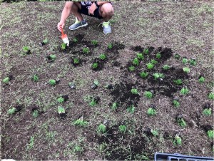 279260233_534957161475301_1736508369199178887_n