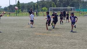 18582103_798209507011060_6448486918746589818_n