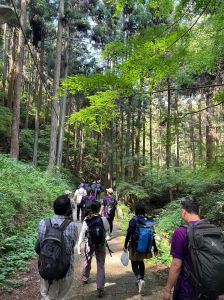 444952233_3395736560569703_4372198362549742544_n