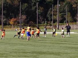 14972006_715110581972581_1544385011_n