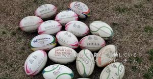 南白レジェンド