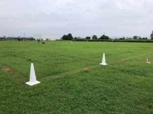 241766682_1842465002604361_4998634476653362145_n